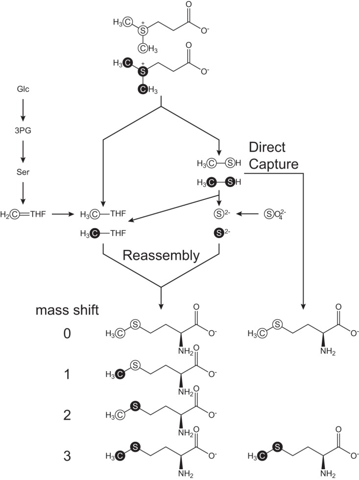 FIG 3