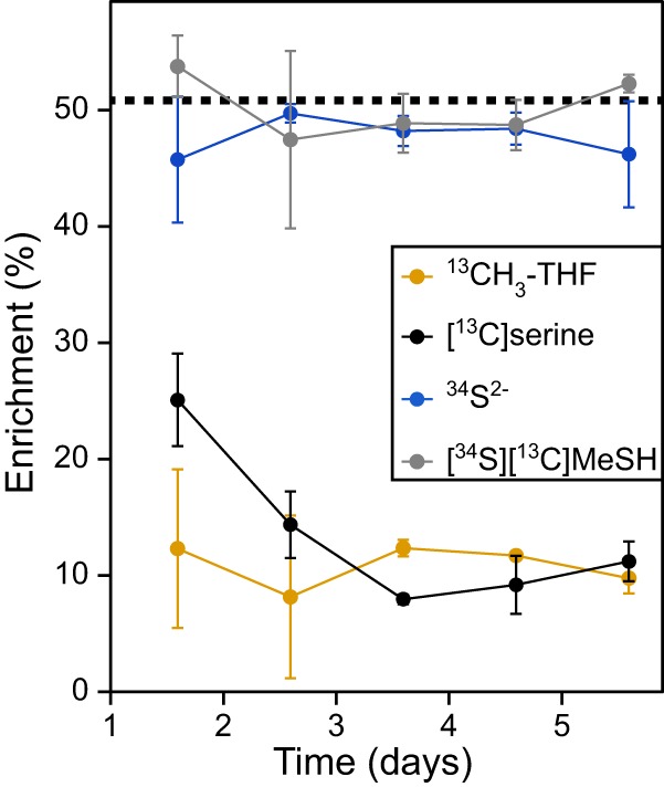 FIG 6