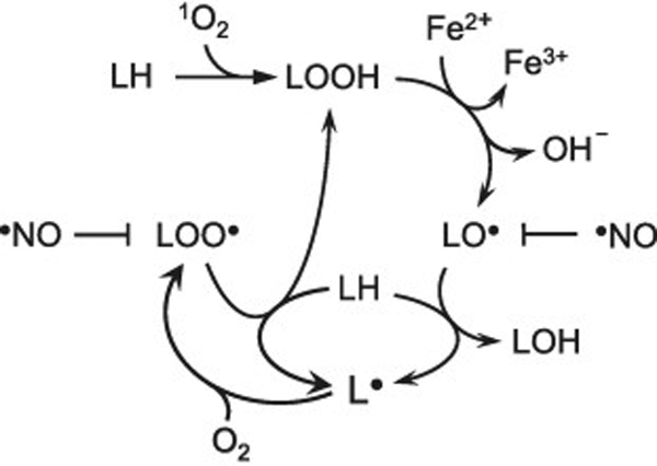 Scheme 1.