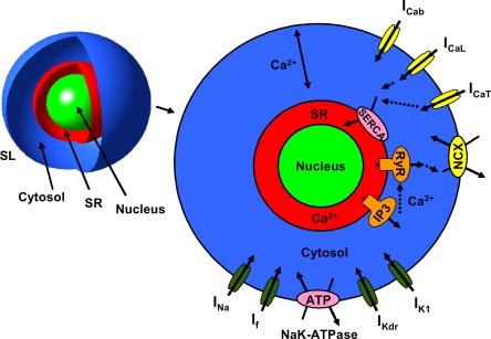 Figure 1.