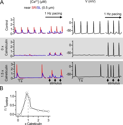 Figure 10.