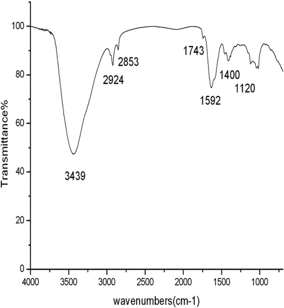 FIG 3