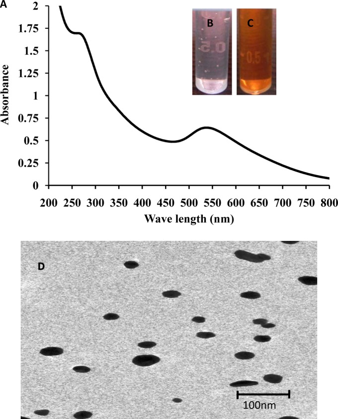 FIG 1