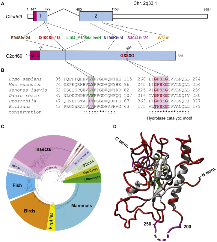 Figure 2