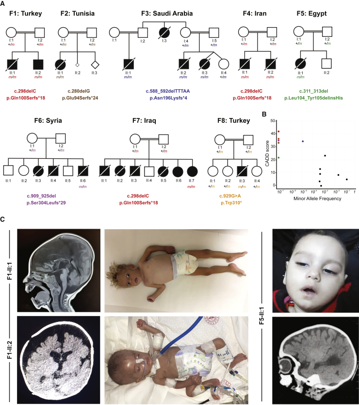 Figure 1