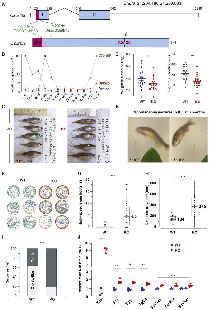 Figure 4