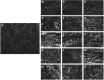 <b>Figure 4.</b>