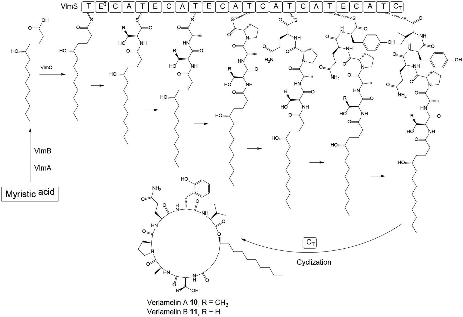 Scheme 3.