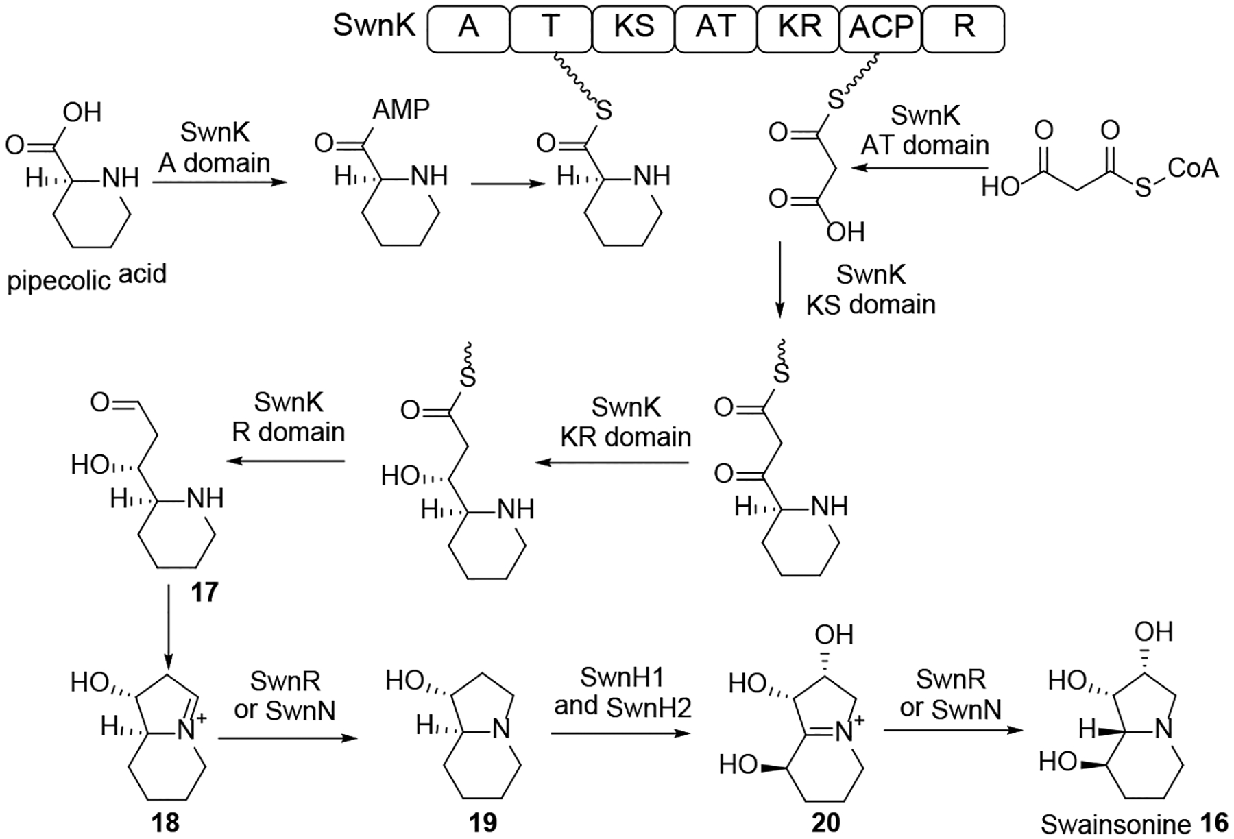 Scheme 6.