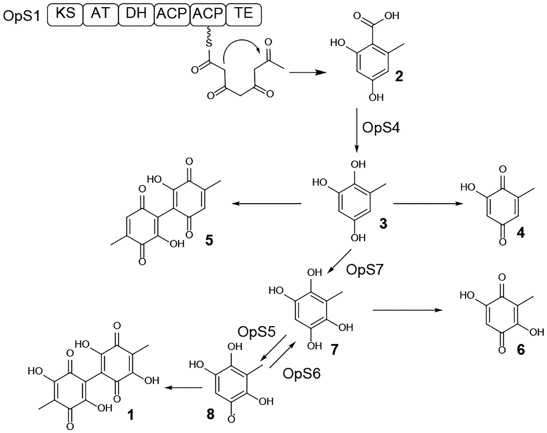 Scheme 1.