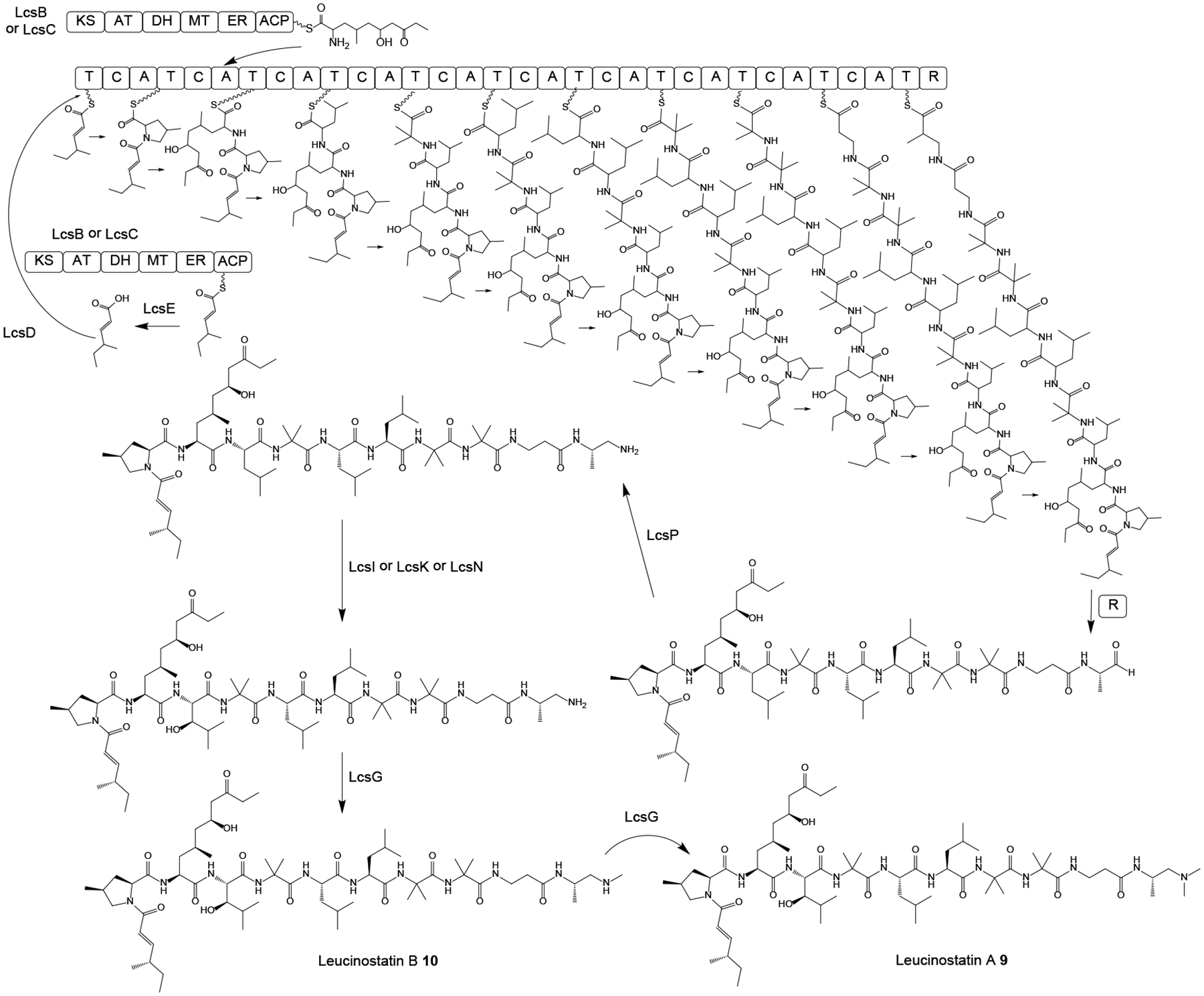 Scheme 2.