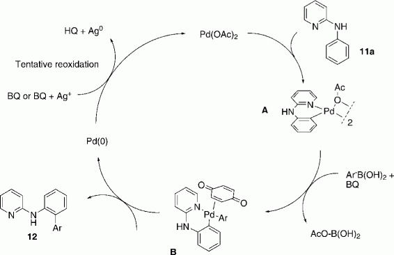 Scheme 4