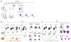 Extended Data Figure 6