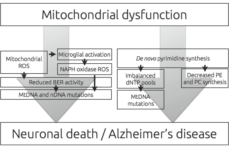 Fig. (2)