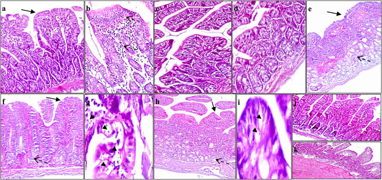 Fig. 9