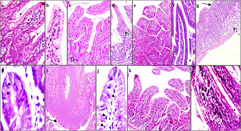 Fig. 8