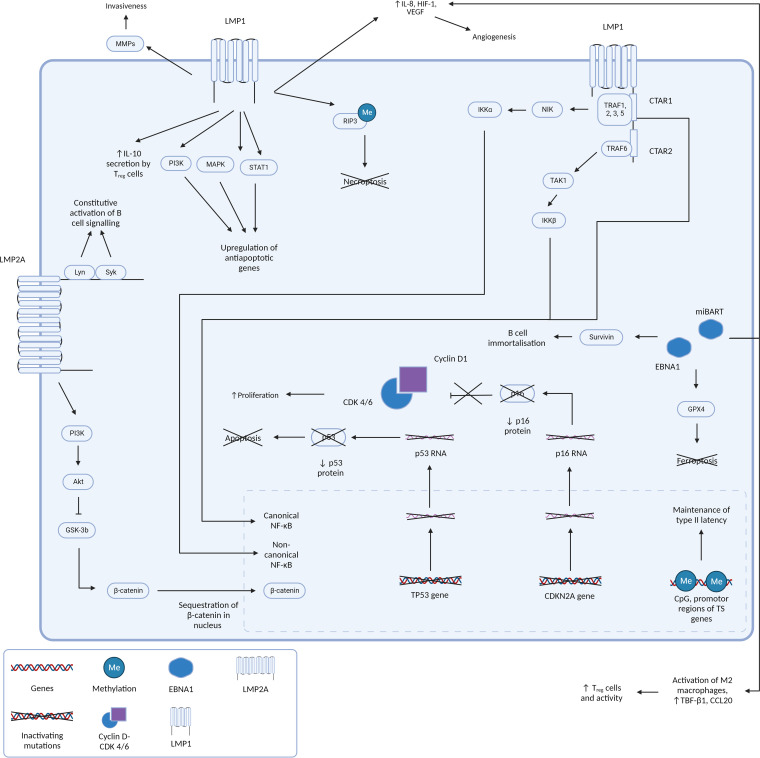 Figure 3