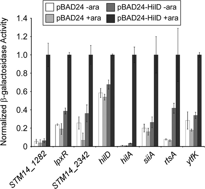 FIG 2