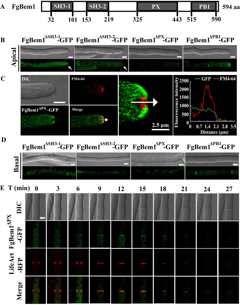 FIG 8