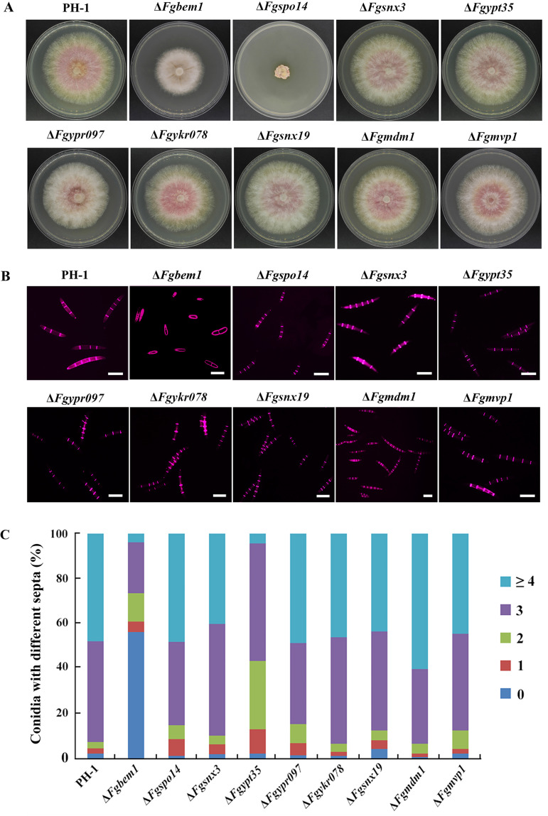 FIG 2