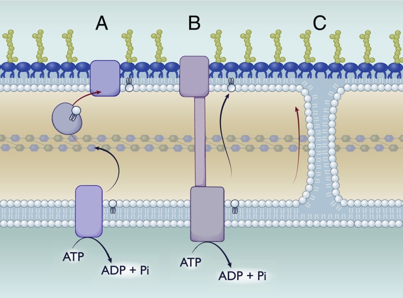 Fig. 4.