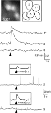 Fig. 8.