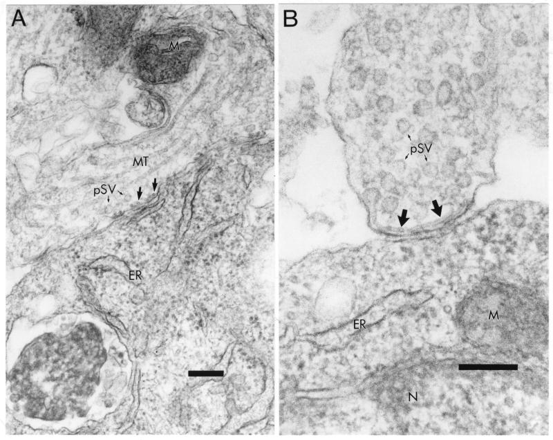 FIG. 7