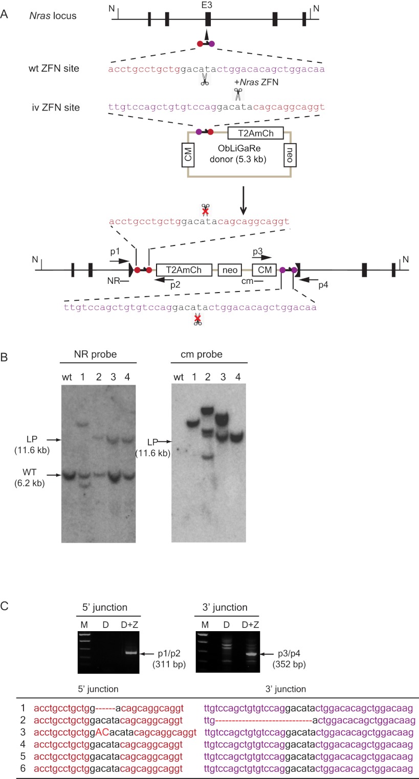 Figure 3.