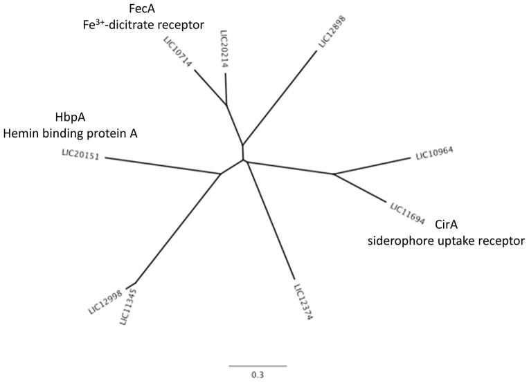 Fig. 9