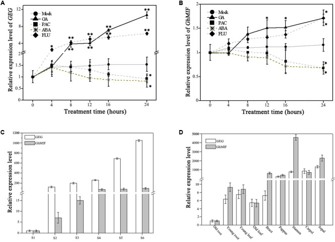 FIGURE 4