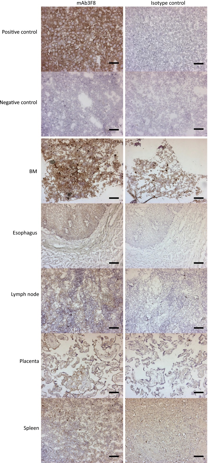 Fig. S6.