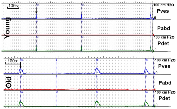 Figure 2.