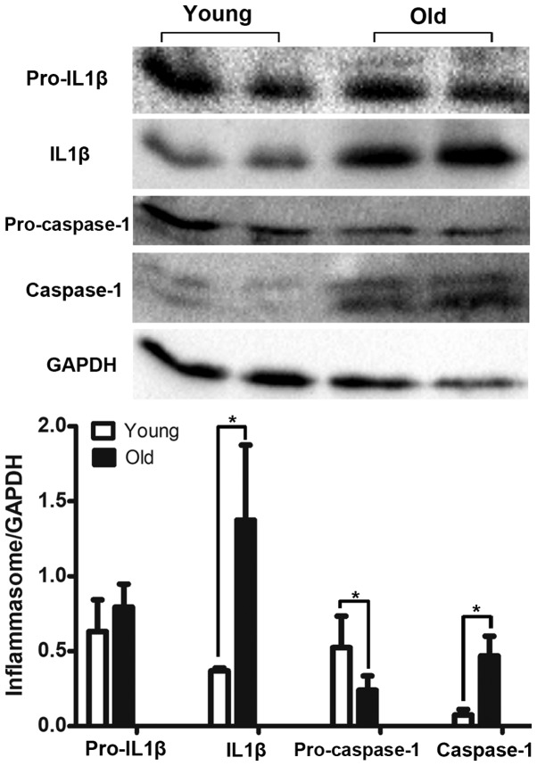 Figure 5.