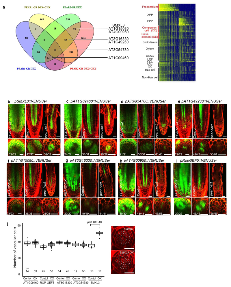 Extended Data Fig. 6