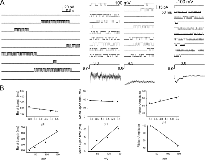 Figure 12.