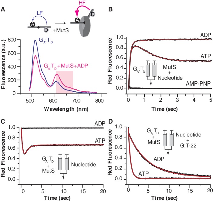 Figure 5.