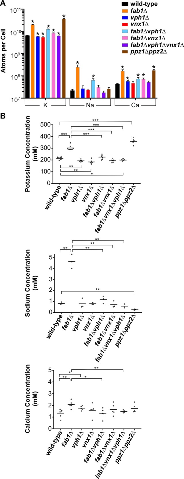 FIGURE 5: