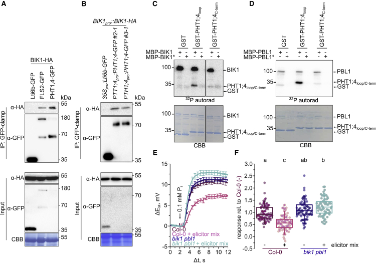 Figure 3