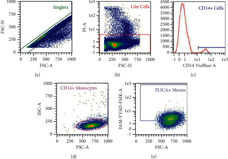 Figure 2