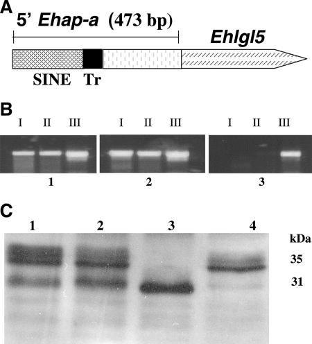 FIG. 4.