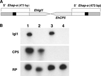 FIG. 9.