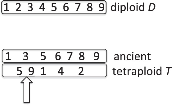 Fig. 5.