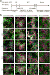 Extended Data Figure 2