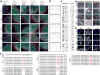 Extended Data Figure 1