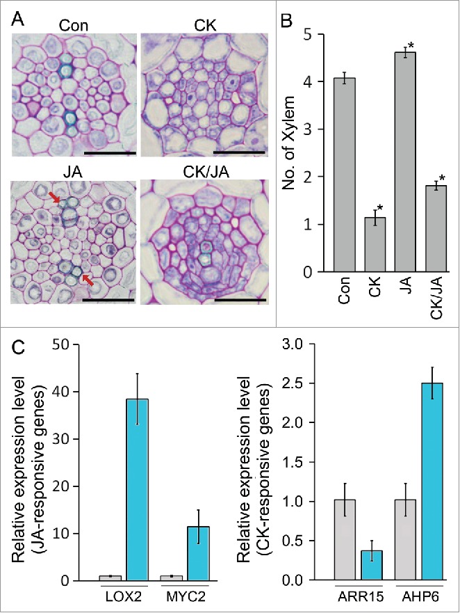 Figure 2.