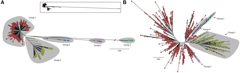 Fig. 2.