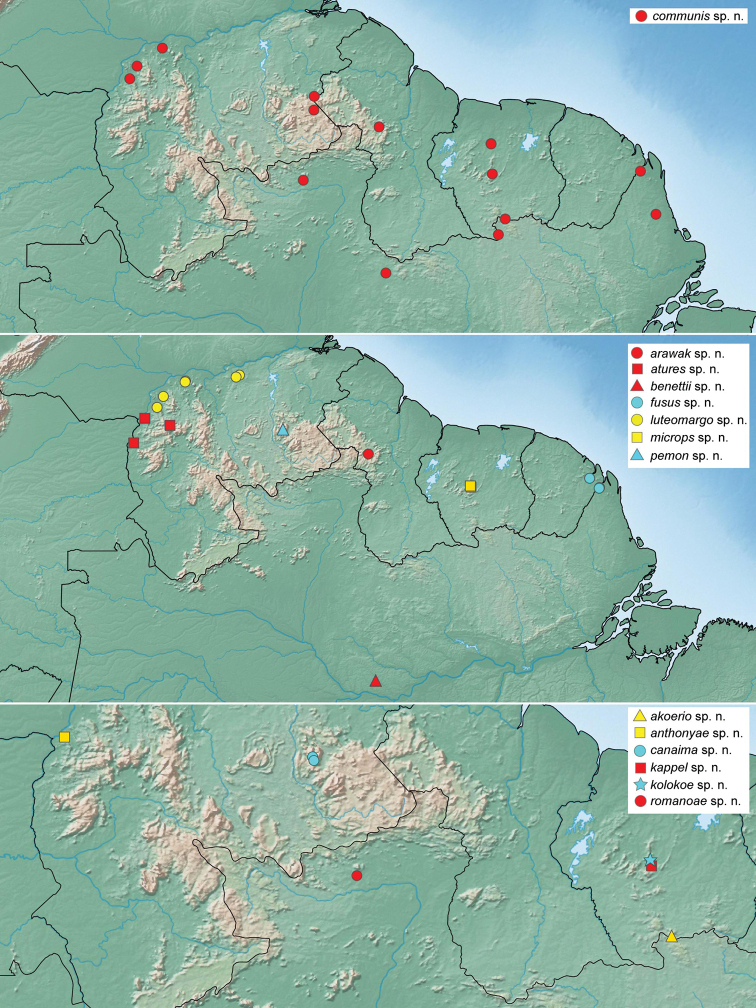 Figure 13.