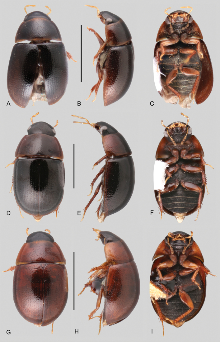 Figure 7.