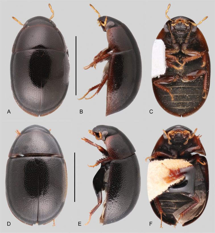 Figure 10.