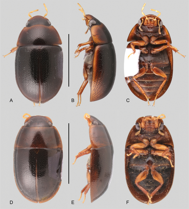 Figure 5.